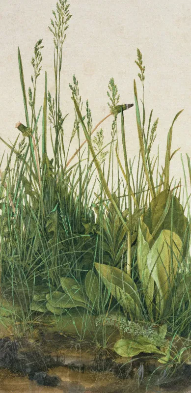 Handtuch Das große Rasenstück - Albrecht Dürer