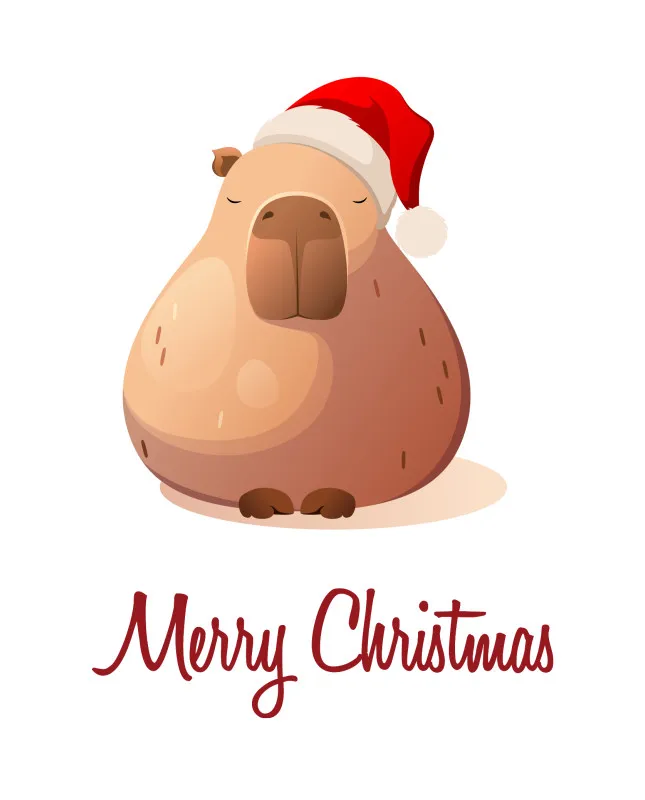 Wohndecke Weihnachtscapy mit Mütze