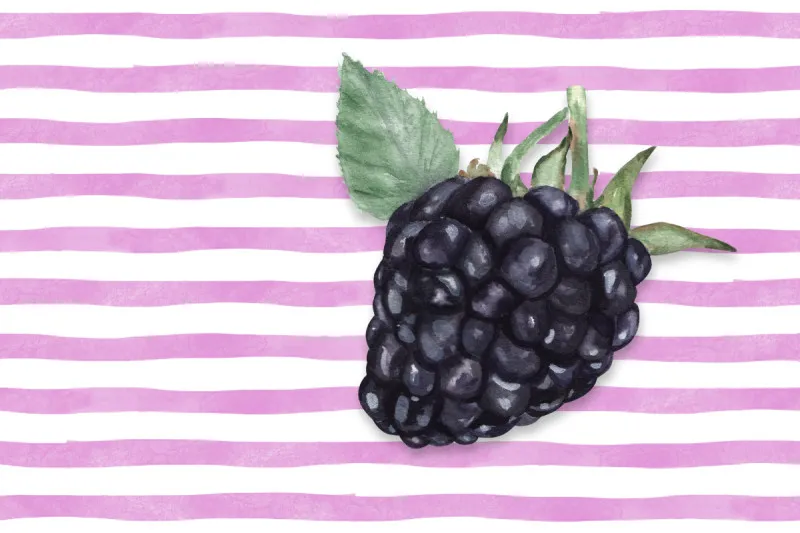 Samtkissenbezug Blackberry Stripes