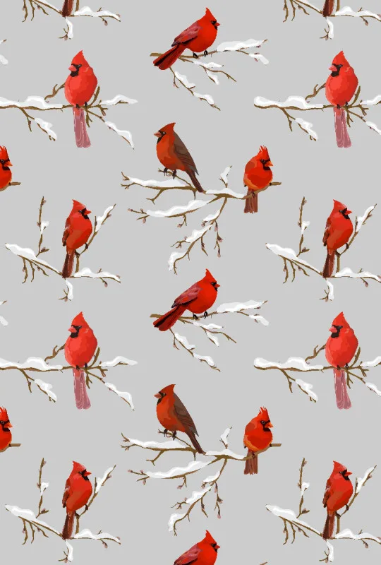 Bettwäsche-Set Winterbirds Mikrofaser