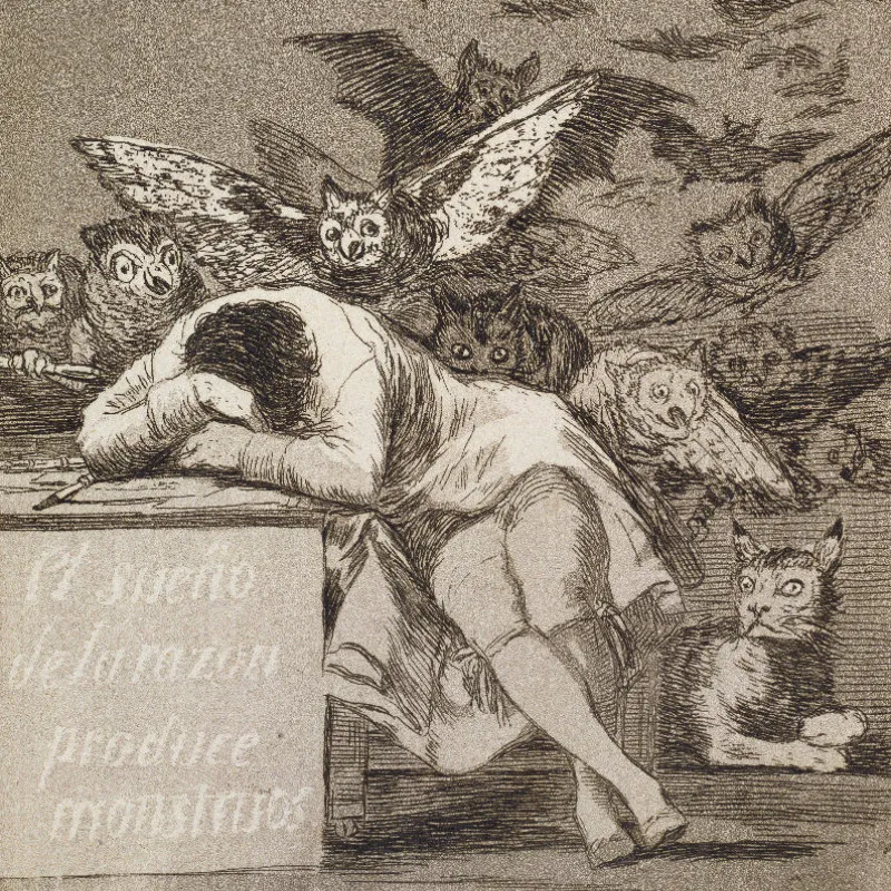 Samtkissenhülle Schlaf der Vernunft Goya