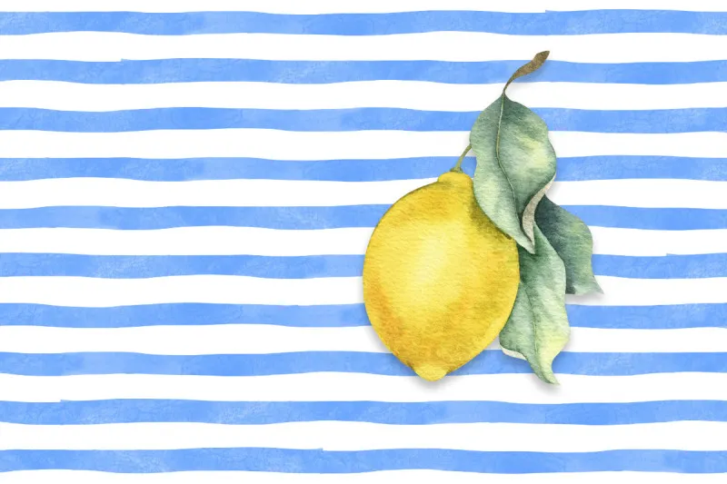 Samtkissenbezug Citrus Stripes