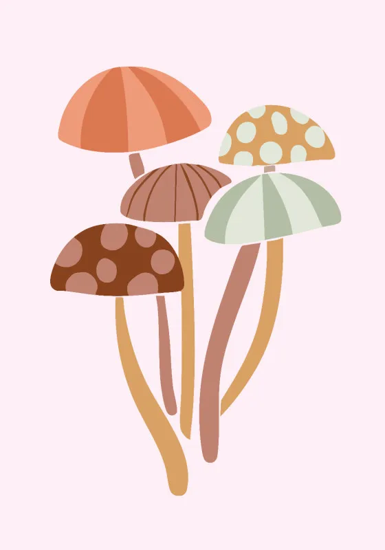 Wohndecke Pilze