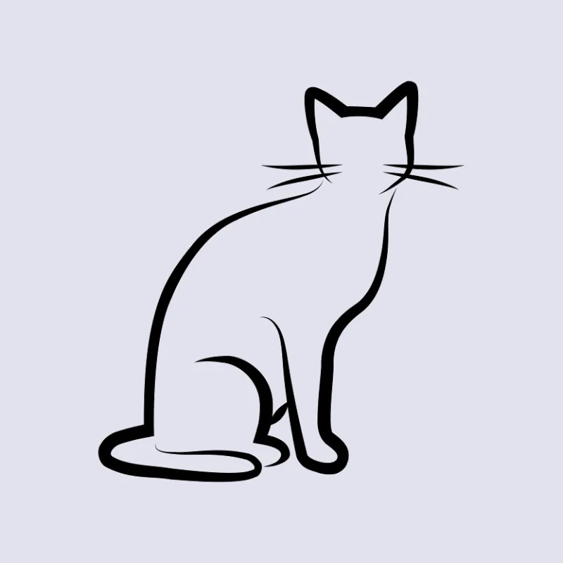Bettwäsche-Set Black Cat 1 Mikrofaser