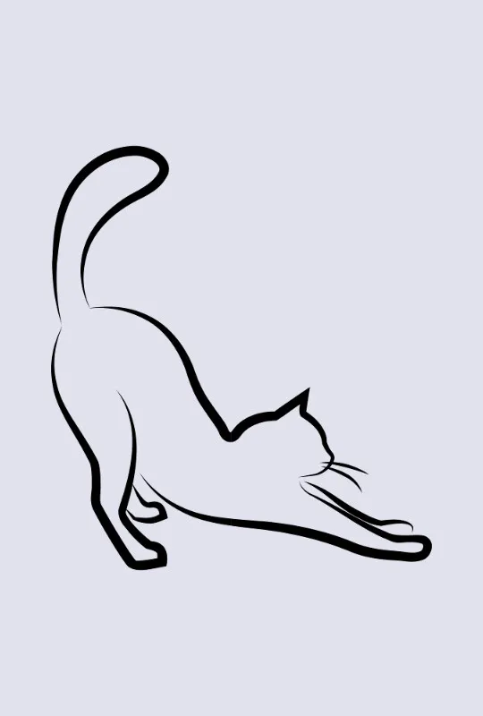 Bettwäsche-Set Black Cat 2 Mikrofaser