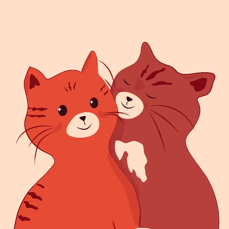 Samtkissenbezug Katzen verliebt - mit Namen personalisierbar - Geschenkidee Valentinstag, Hochzeit Katzen verliebt 40 x 40 cm