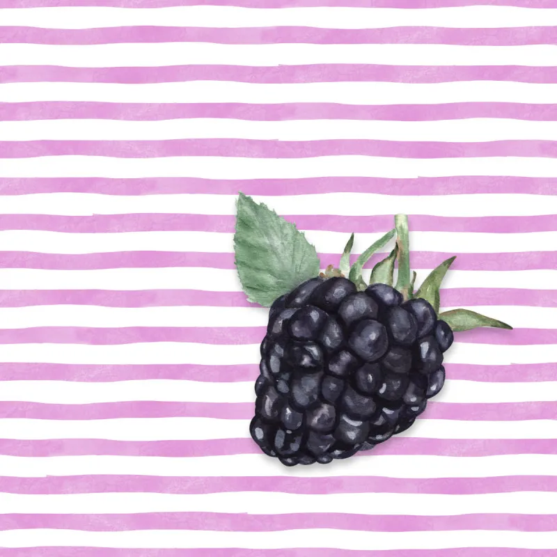 Samtkissenbezug Blackberry Stripes
