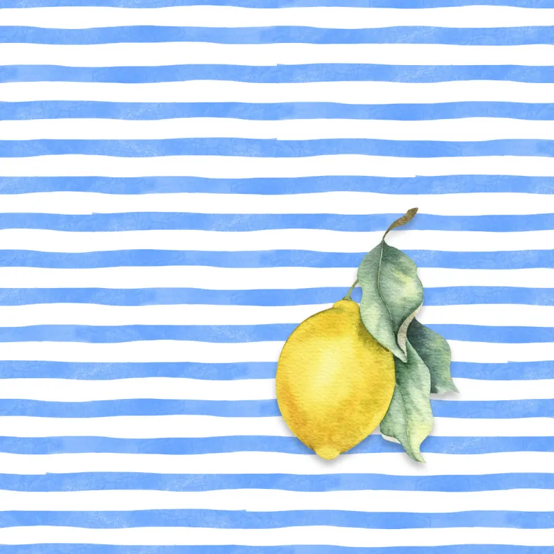Samtkissenbezug Citrus Stripes