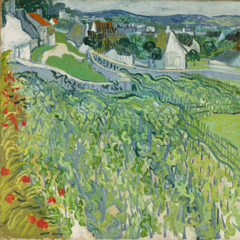 Samtkissenbezug Weinberge in Auvers Van Gogh