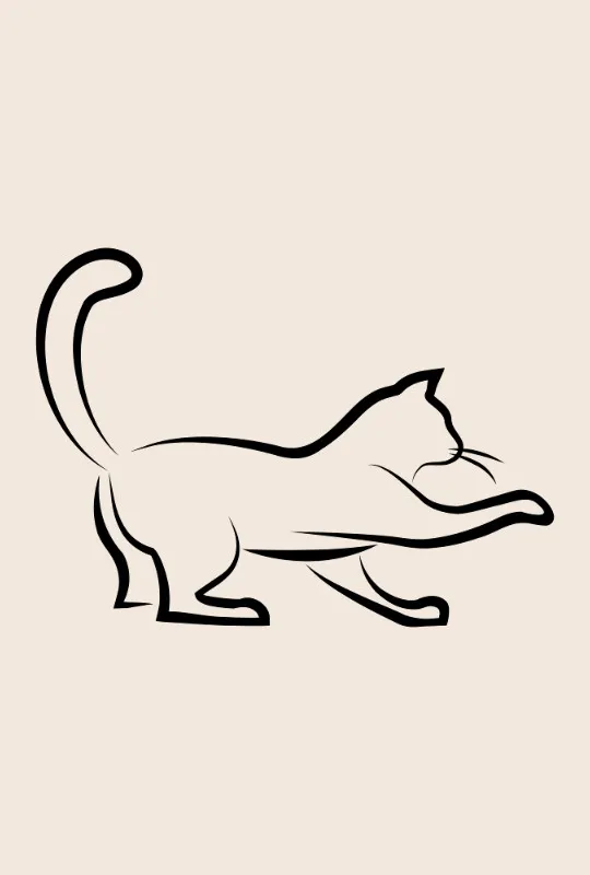 Bettwäsche-Set Black Cat 3 Mikrofaser