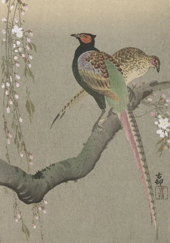 Duschvorhang Shôson - Blumen und Vögel