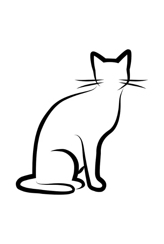 Bettwäsche-Set Black Cat 1 Mikrofaser