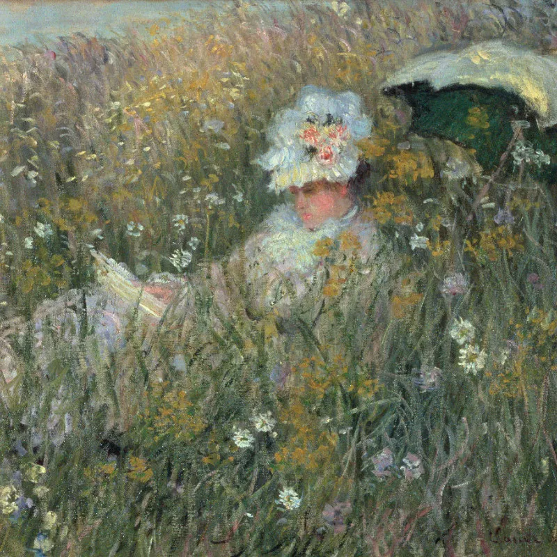 Samtkissenbezug In der Blumenwiese - Monet