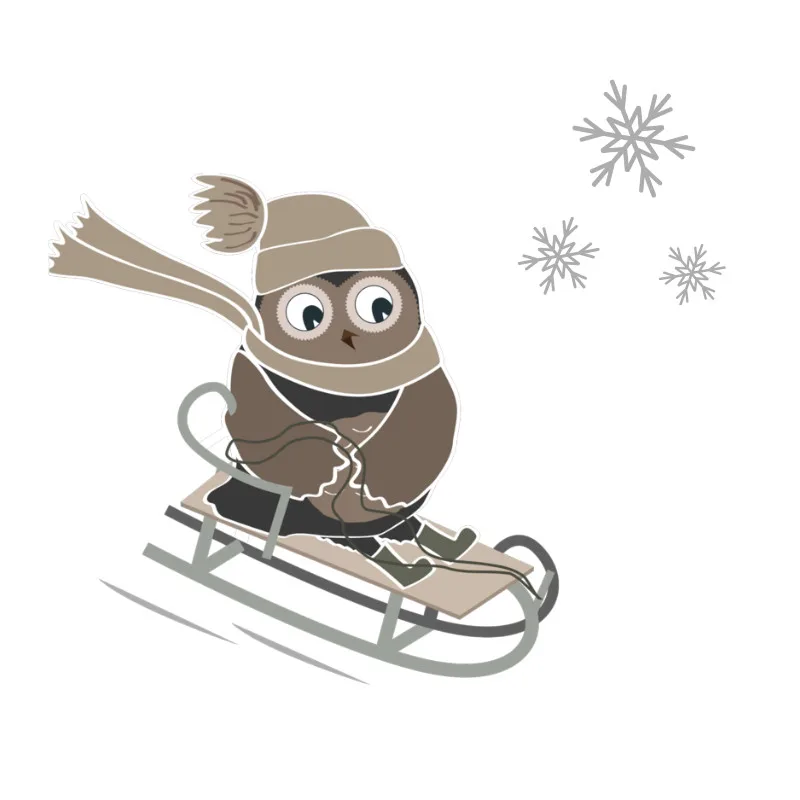 Bettwäsche-Set Skieulen Mikrofaser