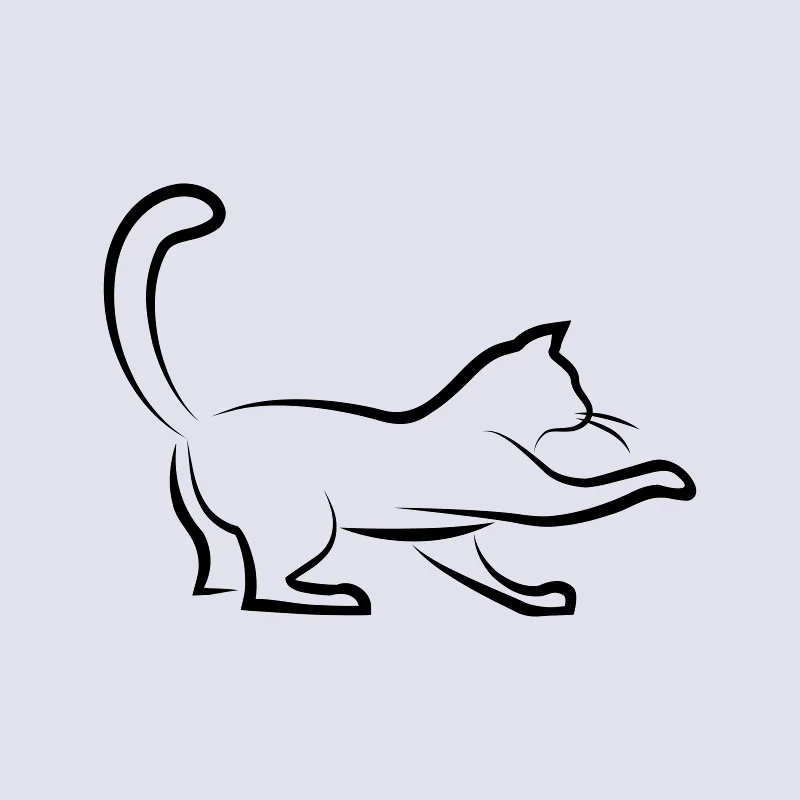 Bettwäsche-Set Black Cat 3 Mikrofaser