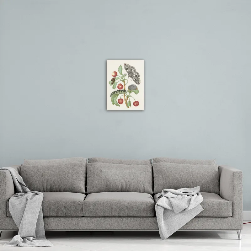 Premium-Leinwand Merian