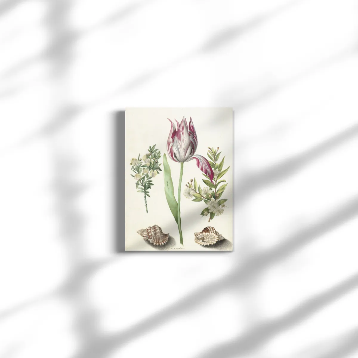 Premium-Leinwand Merian