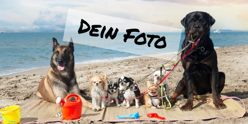 Handtuch mit Foto - personalisiertes Fotohandtuch - Foto-Handtuch selbst gestalten - 1 Foto