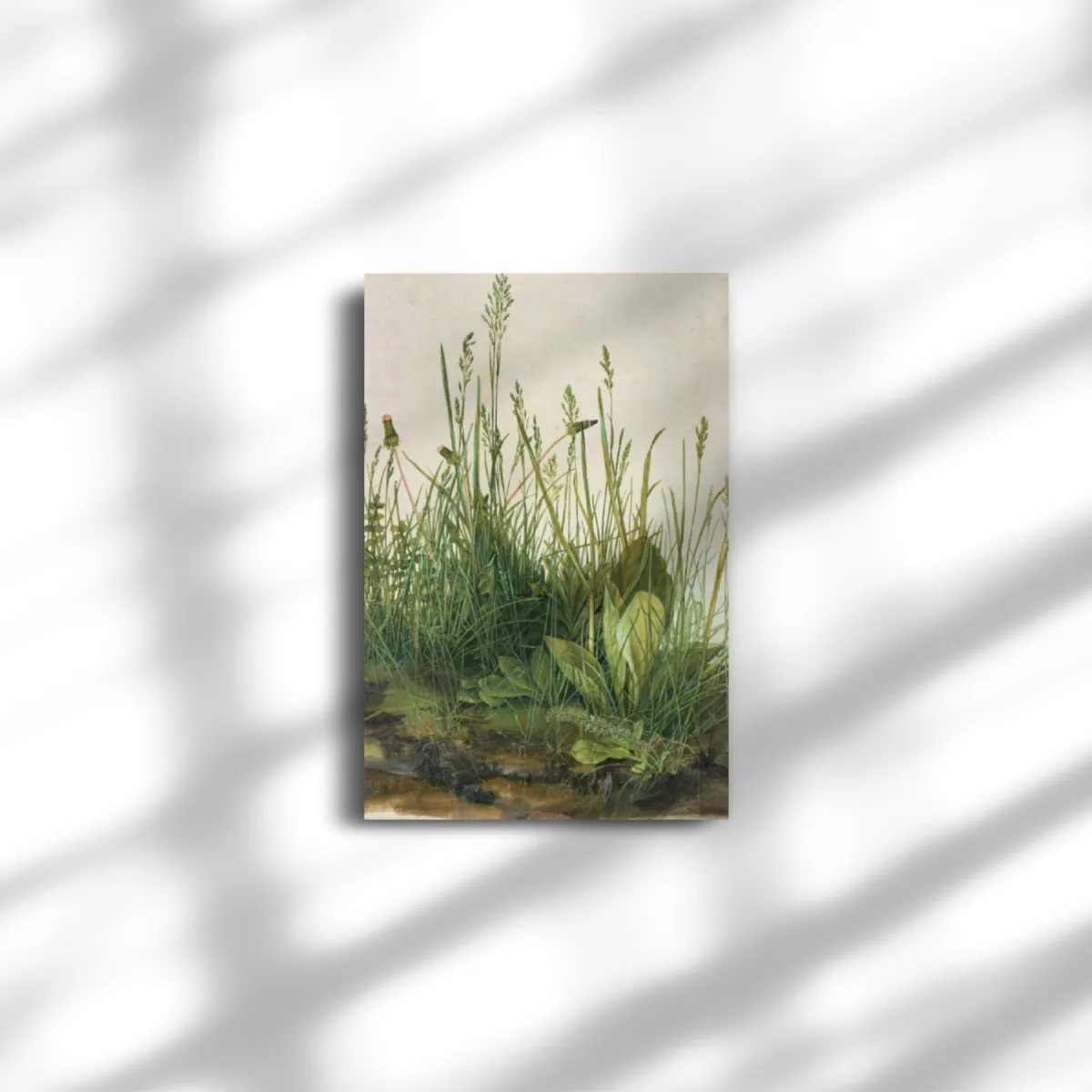 Premium-Leinwand Dürer