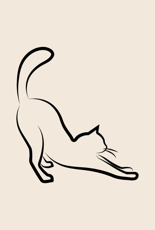 Bettwäsche-Set Black Cat 2 Mikrofaser