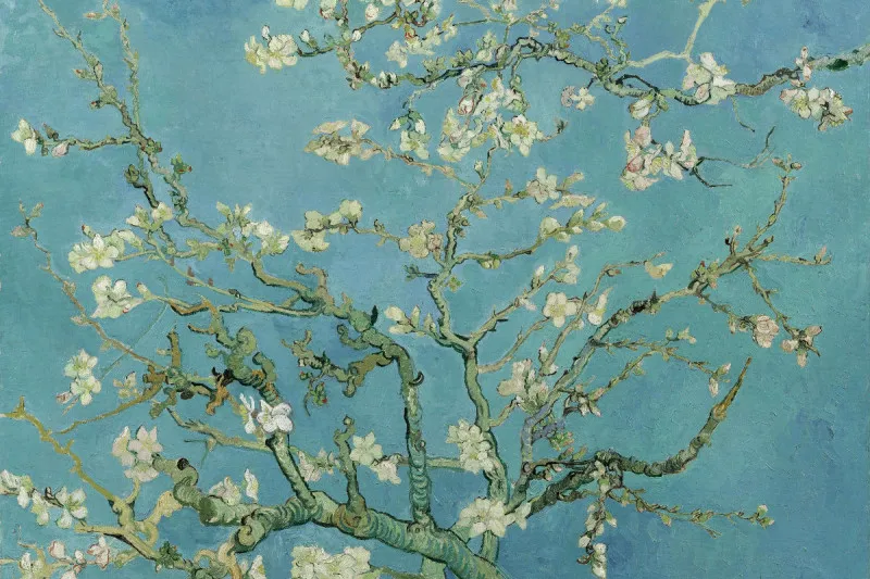 Premium-Leinwand Van Gogh