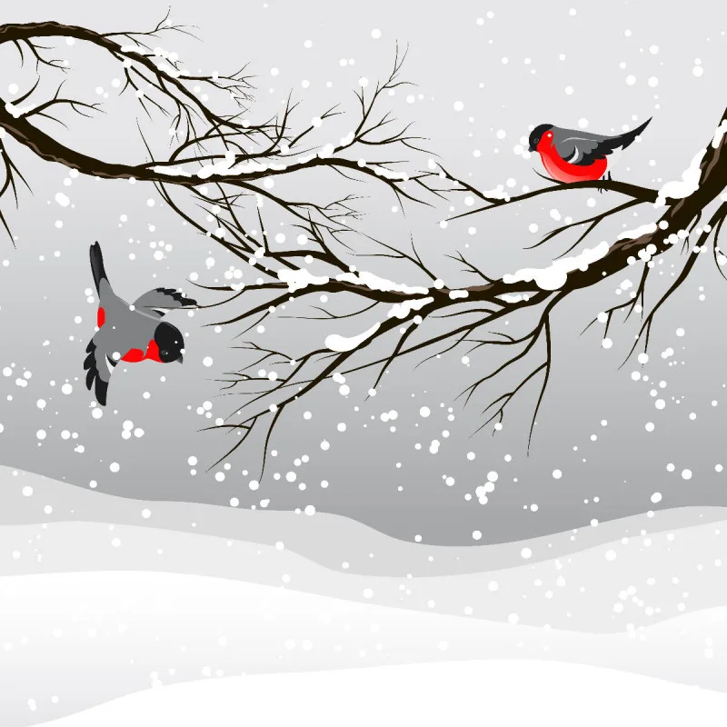 Kissenhülle Snowbirds