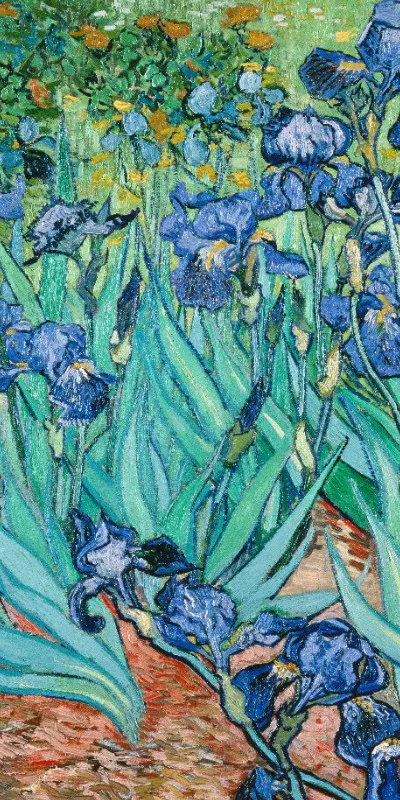 Handtuch Iris - Van Gogh