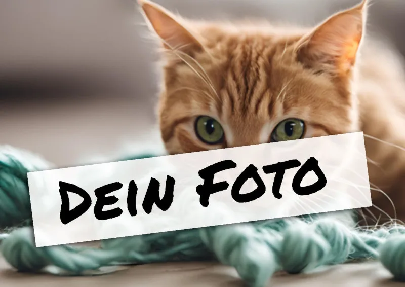 Fotopuzzle mit eigenem Bild - Puzzle selbst gestalten 1000 Teile - Schachtel Meow - mit Foto personalisiert - Geschenk Katzenfans Meow 1000 Teile Quer
