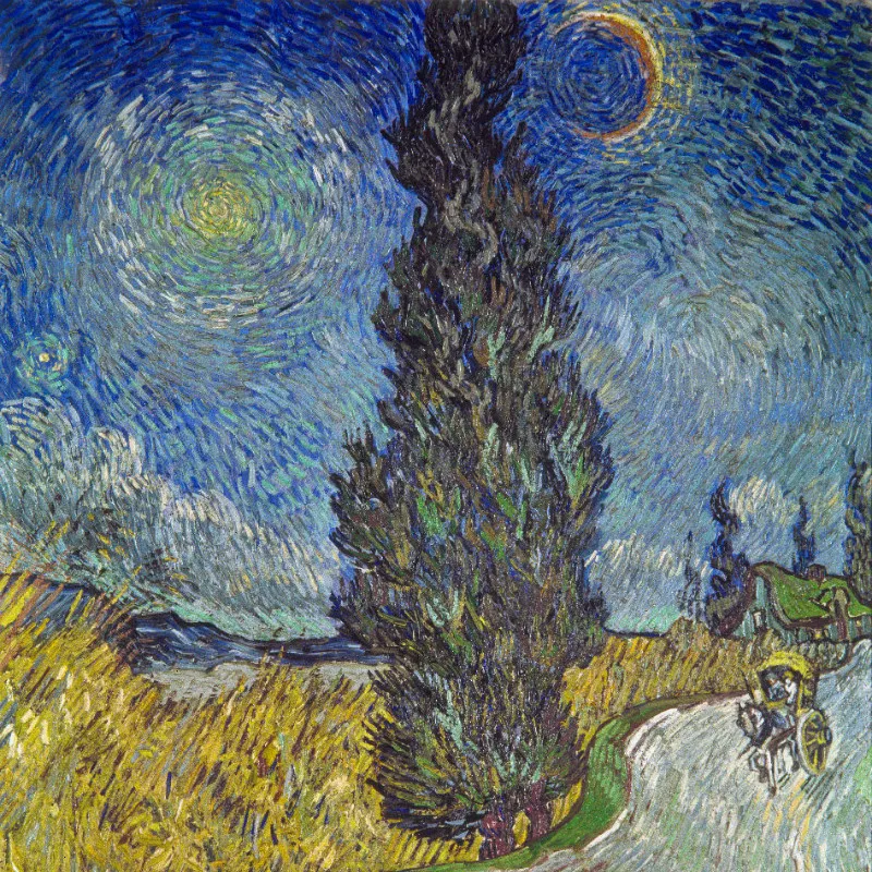 Motivbettwäsche Van Gogh - Landstraße Baumwolle