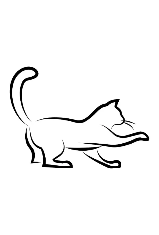 Bettwäsche-Set Black Cat 3 Mikrofaser