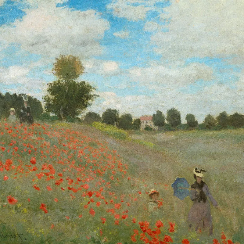 Samtkissenbezug Mohnfeld Monet