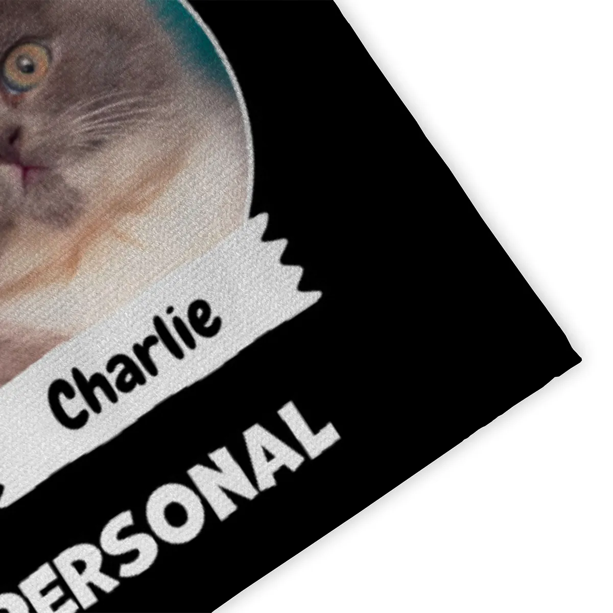 Spruch-Fußmatte Hier wohnt 1 Katze mit Personal - personalisiert mit Foto und Name - Geschenkidee für Katzenhalter, Haustierbesitzer