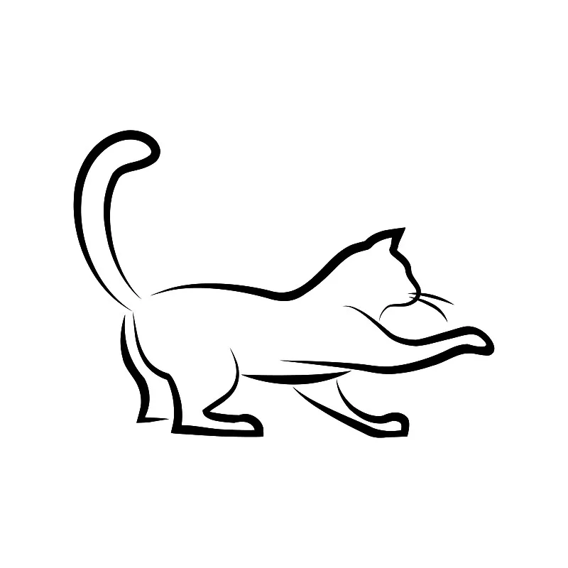 Bettwäsche-Set Black Cat 3 Mikrofaser