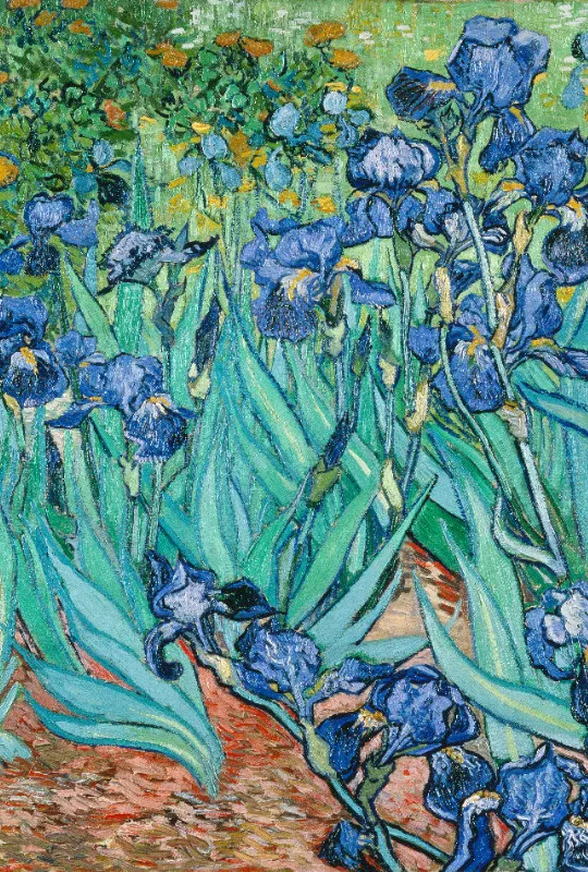 Bettwäsche-Set van Gogh - Iris Baumwolle