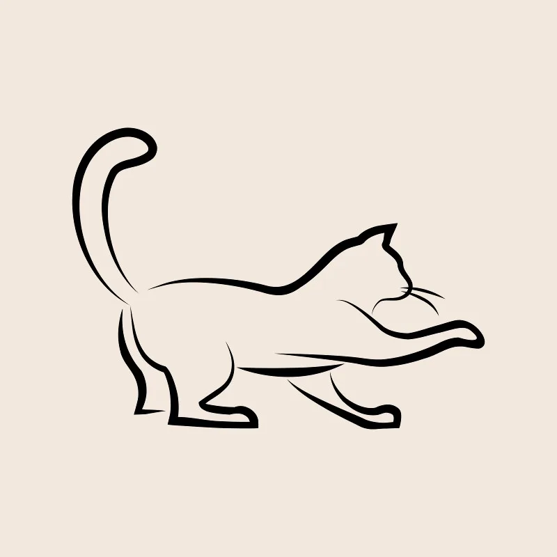 Bettwäsche-Set Black Cat 3 Mikrofaser