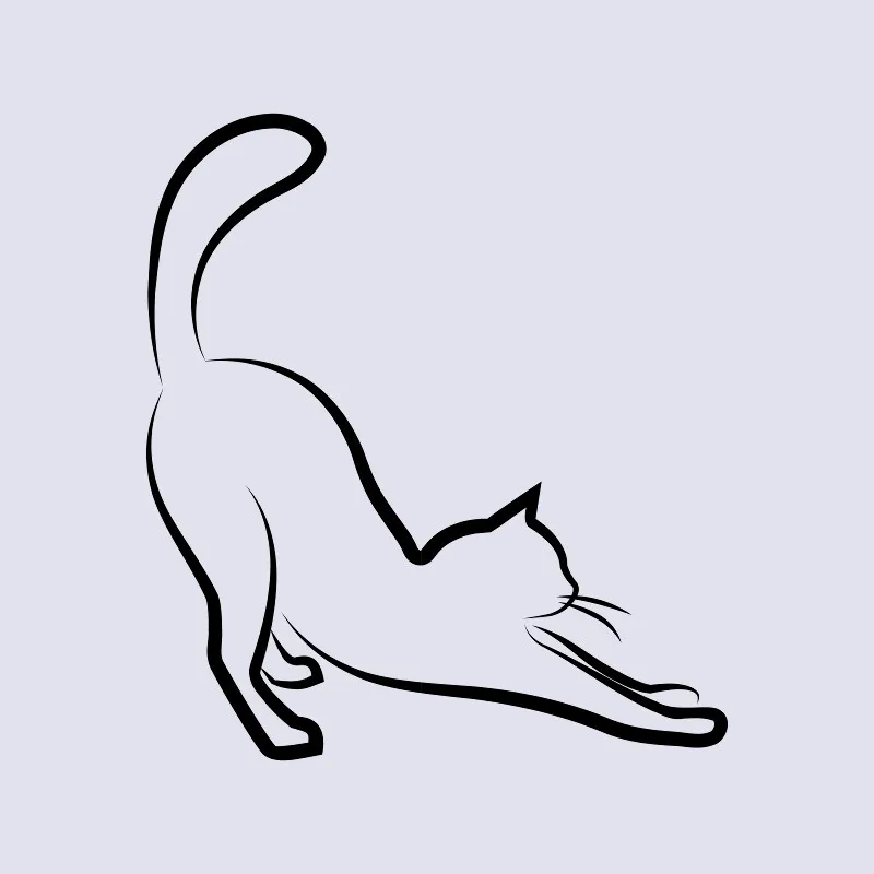 Bettwäsche-Set Black Cat 2 Mikrofaser