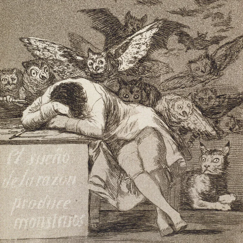 Samtkissenhülle Schlaf der Vernunft Goya