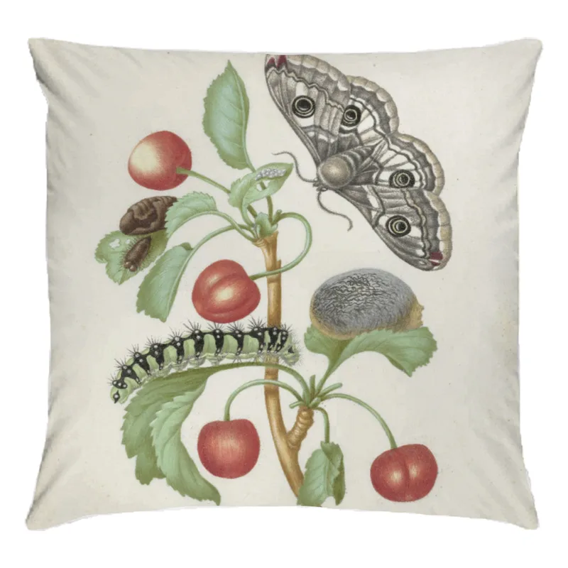 Motivbettwäsche Merian - Transformation des Nachtpfauenauges Mikrofaser