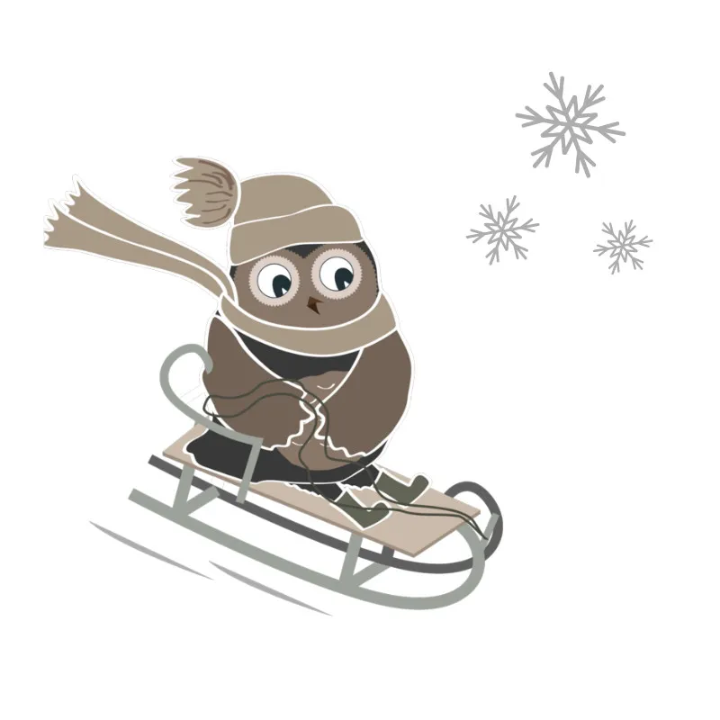 Bettwäsche-Set Skieulen Mikrofaser