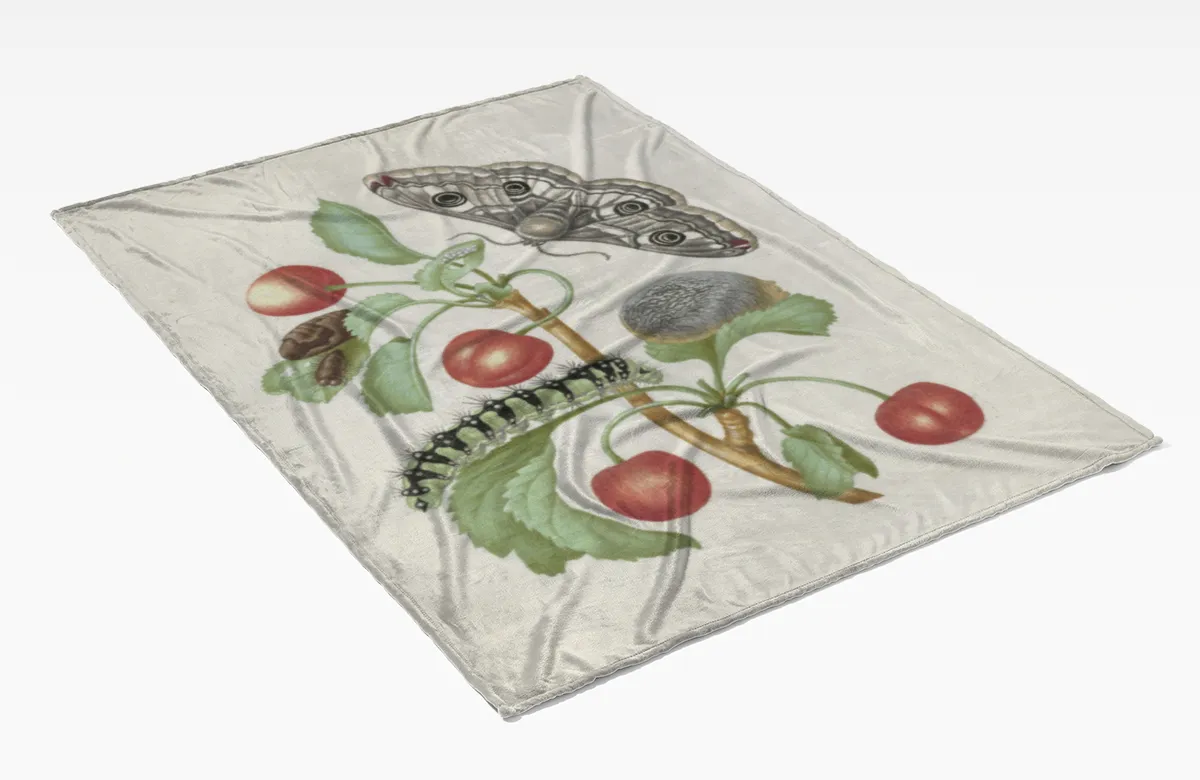 Kuscheldecke Transformation des Nachtpfauenauges Merian