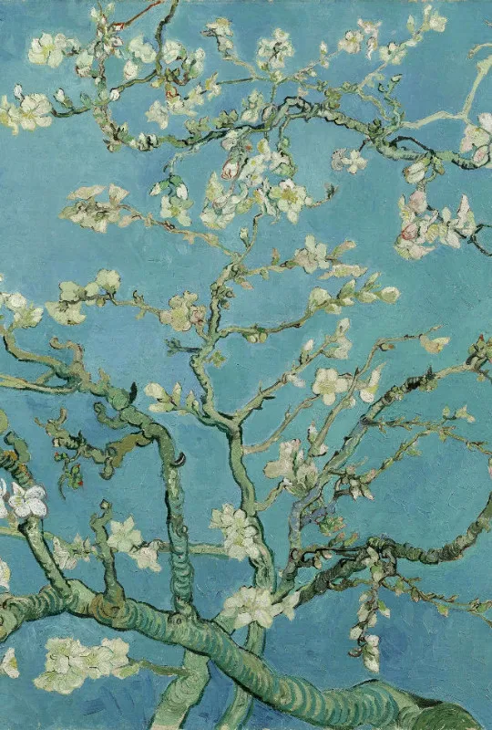Motivbettwäsche Van Gogh - Mandelblüte Mikrofaser