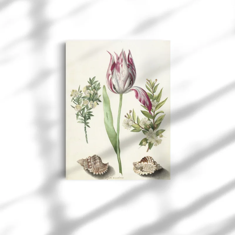 Premium-Leinwand Merian