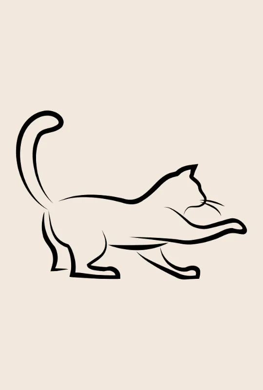 Bettwäsche-Set Black Cat 3 Mikrofaser