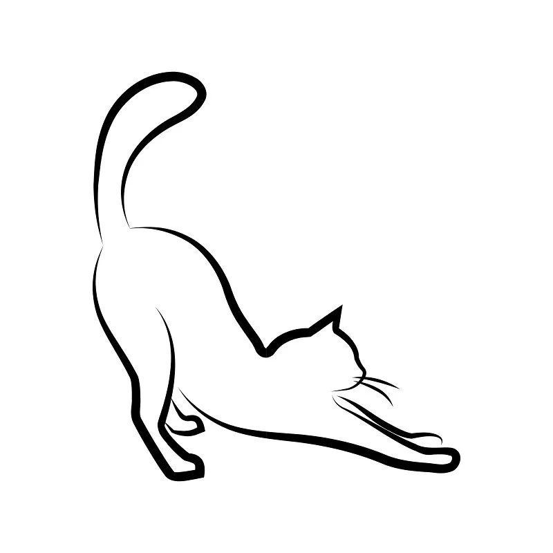 Bettwäsche-Set Black Cat 2 Mikrofaser