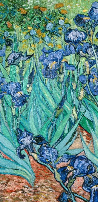 Handtuch Iris - Van Gogh