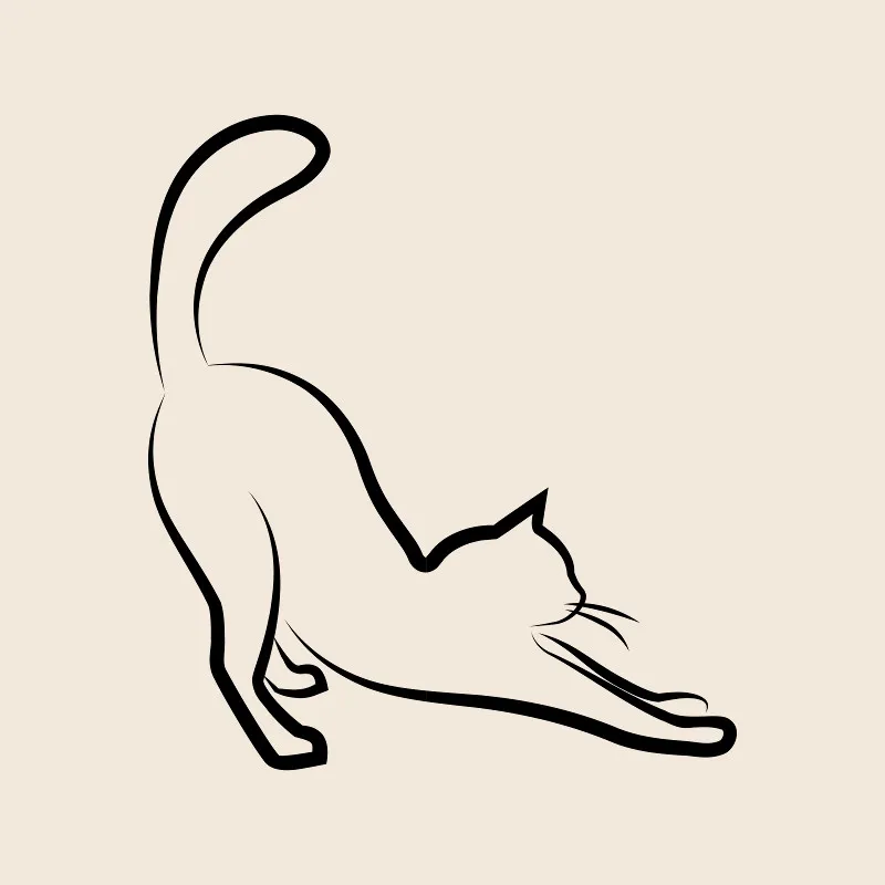 Bettwäsche-Set Black Cat 2 Mikrofaser