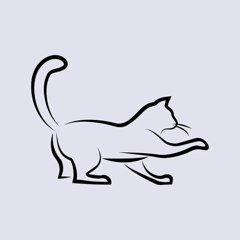 Bettwäsche-Set Black Cat 3 Mikrofaser