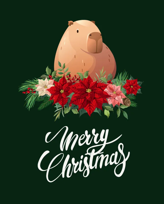 Wohndecke Weihnachtscapy mit Mütze