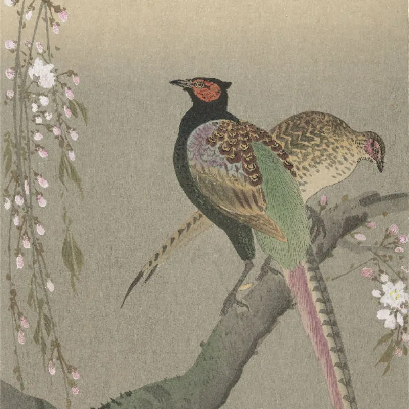 Bettwäsche-Set Shôson - Blumen und Vögel Baumwolle
