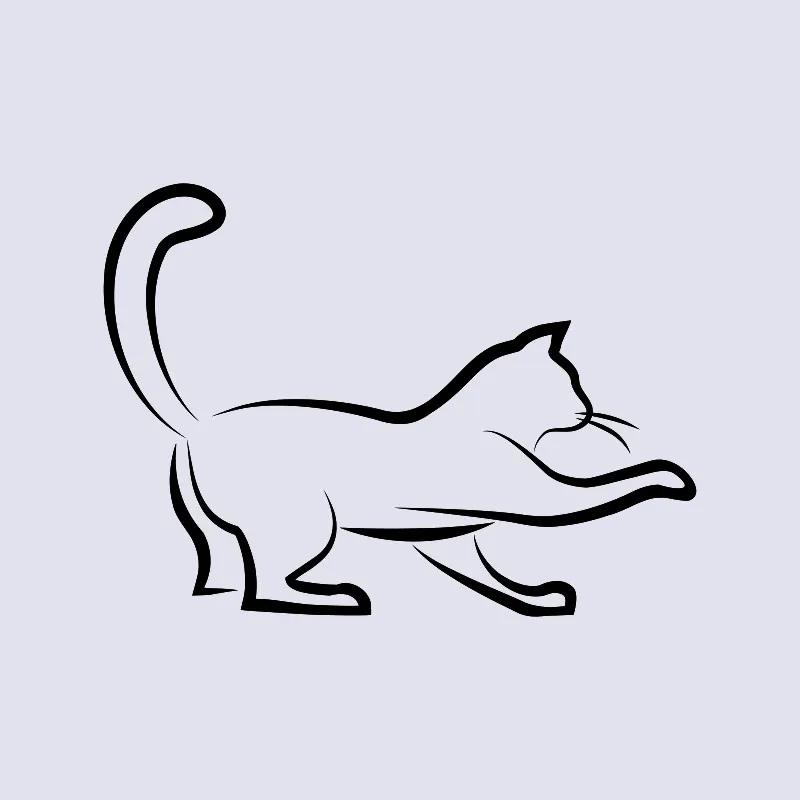 Bettwäsche-Set Black Cat 3 Mikrofaser